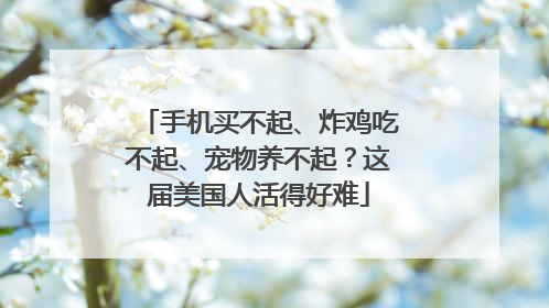 手机买不起、炸鸡吃不起、宠物养不起？这届美国人活得好难